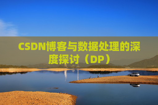 CSDN博客与数据处理的深度探讨（DP）